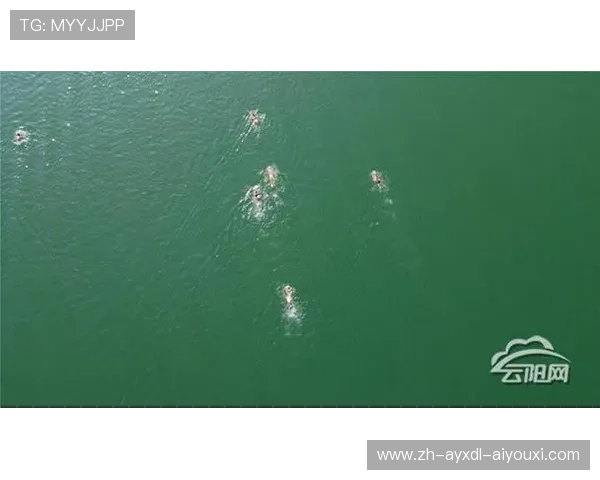 黄海之滨热浪涌盐城冬泳赛事燃寒冬